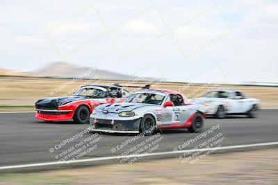 media/May-04-2025-Lucky Dog Racing (Sun) [[21629467aa]]/Turn 9 (115-130pm)/
